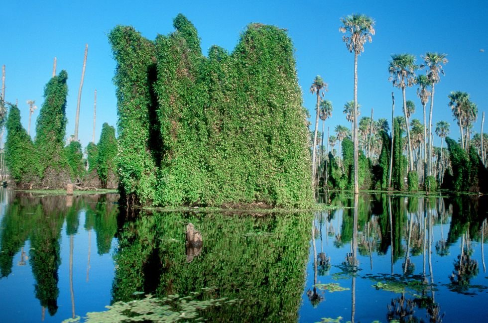 Diez paraísos naturales en Argentina