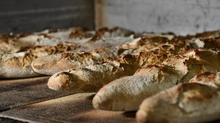 Las 8 mejores panaderías de Buenos Aires con los panes más ricos: la lista definitiva