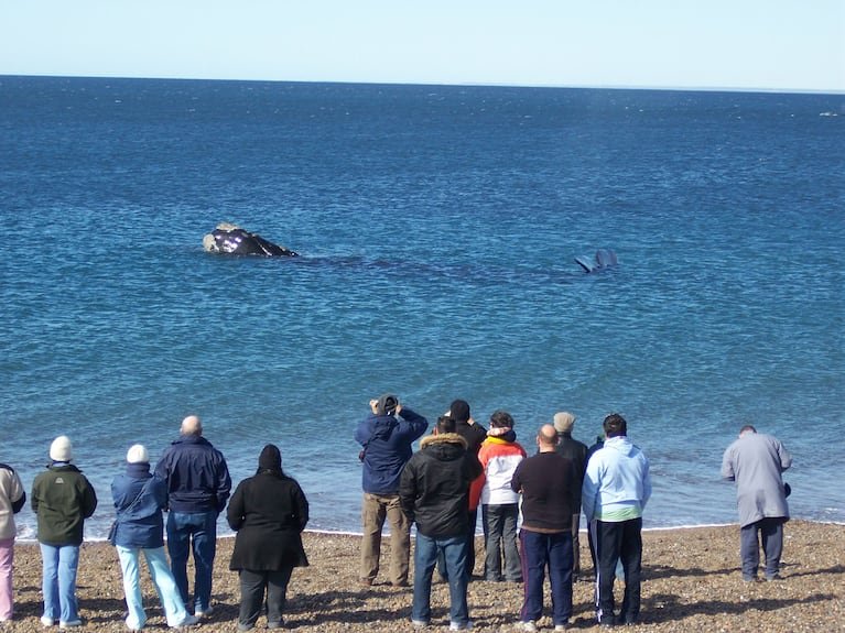 Verano 2023: cuatro playas divinas para descubrir en el sur argentino