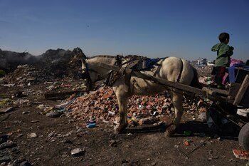 Basural de Luján: nuevas pericias confirmaron una alta contaminación en tierra, agua y aire