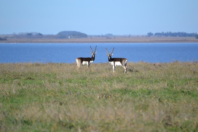 Campo, lagunas, mar y sierras: 10 escapadas cerca de Buenos Aires