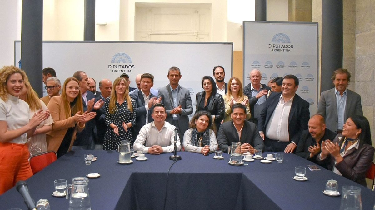 Interna en La Libertad Avanza: desplazaron a Oscar Zago como presidente del bloque de diputados