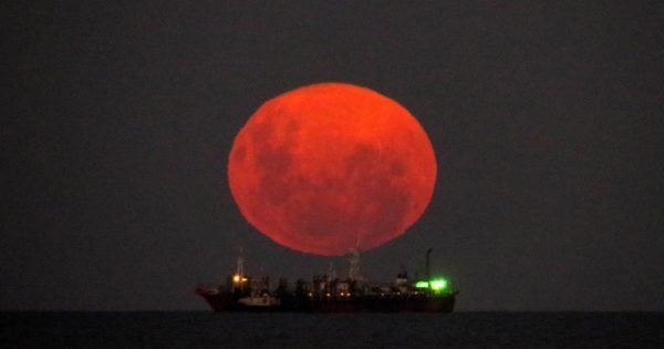 Luna rosa, el gran atractivo de Semana Santa en Mar del Plata