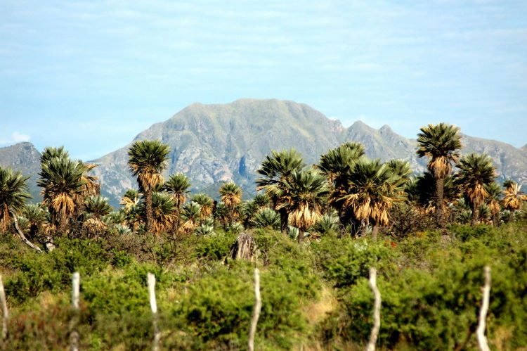 Traslasierra: un paraíso Cordobés