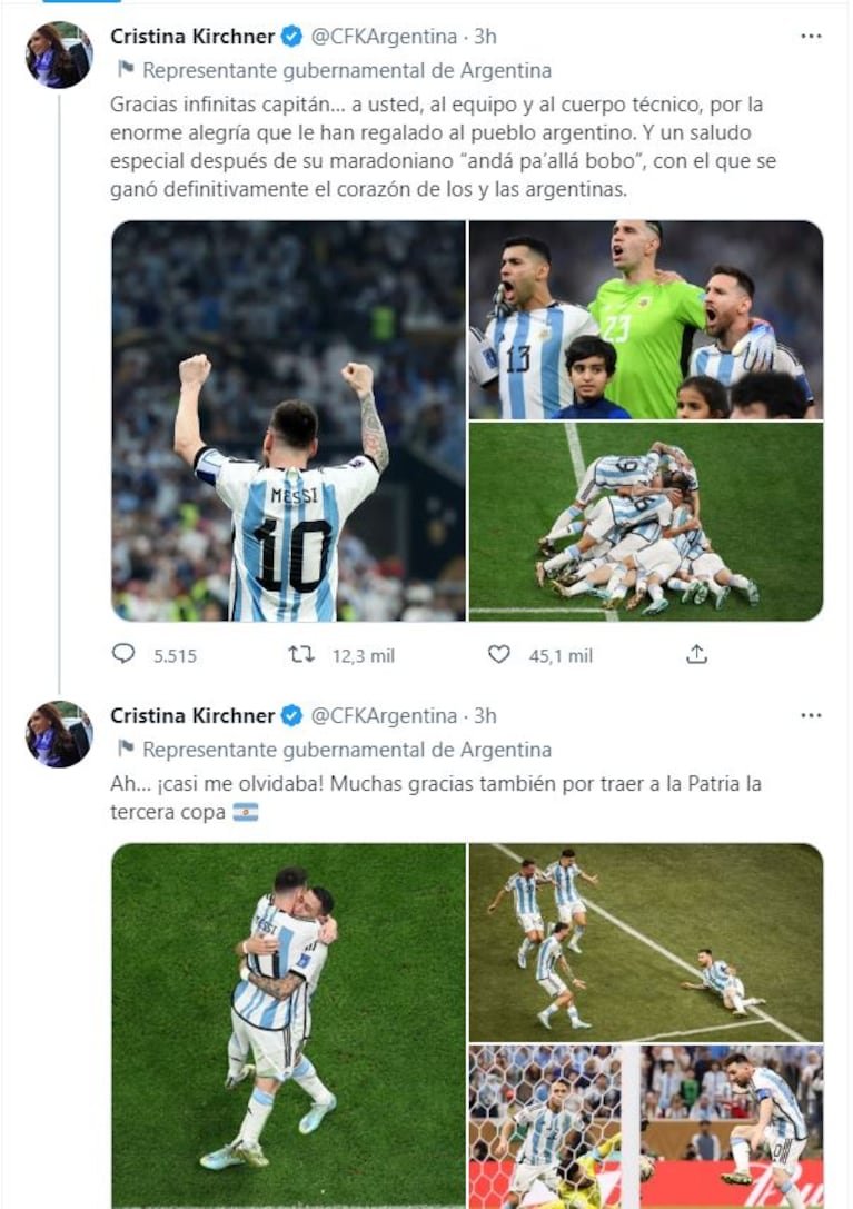 De Alberto Fernández a Cristina Kirchner y Mauricio Macri: las repercusiones políticas del triunfo argentino