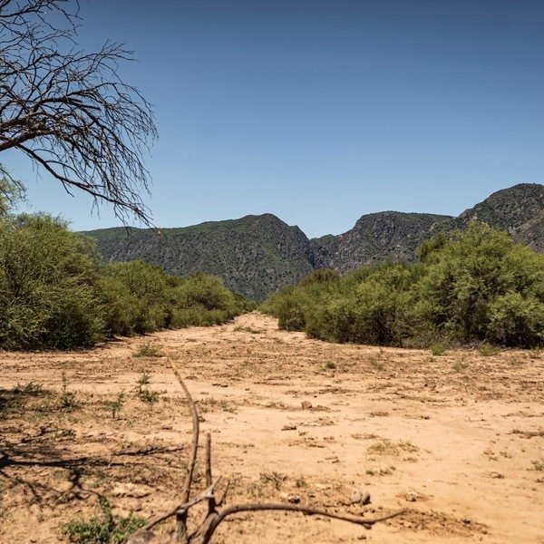 Tesoros para explorar: los parque nacionles menos visitados en la Argentina