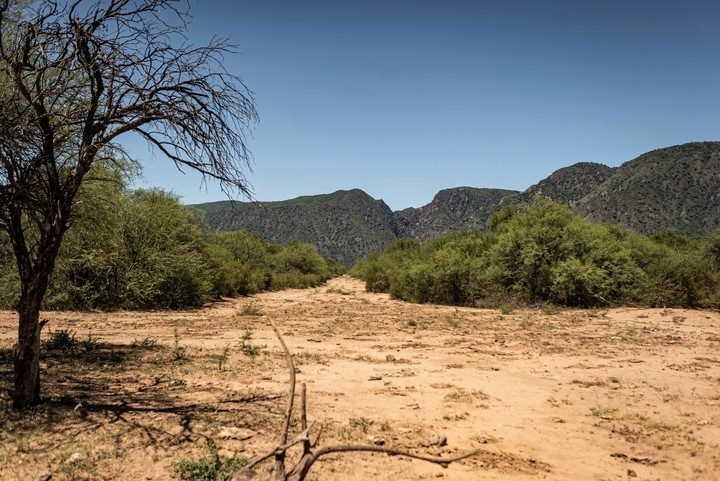 Tesoros para explorar: los parque nacionles menos visitados en la Argentina