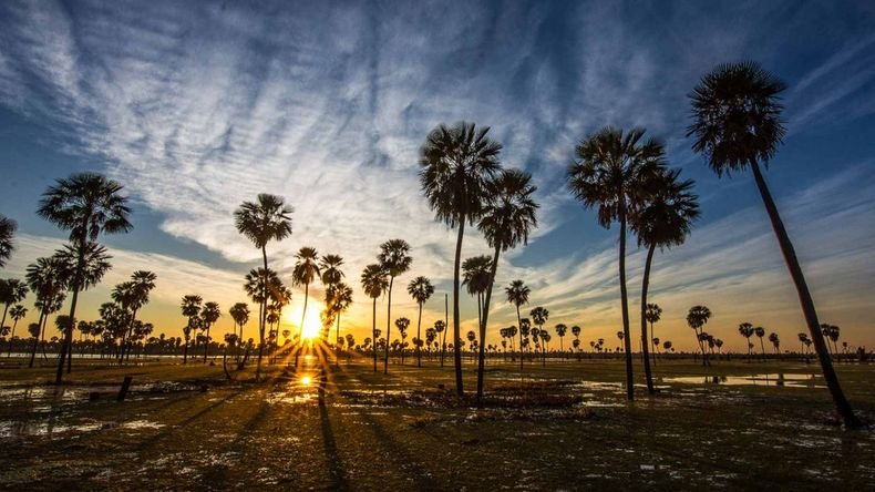 Turismo Argentina: el hermoso humedal que es uno de los más grandes de Sudamérica