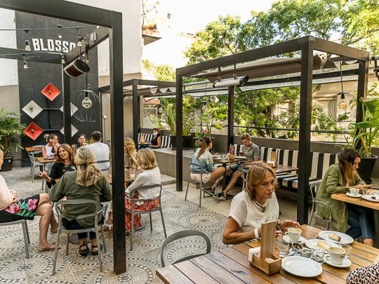 Clásicos, blends y buena pastelería: 5 casas de té imperdibles en CABA