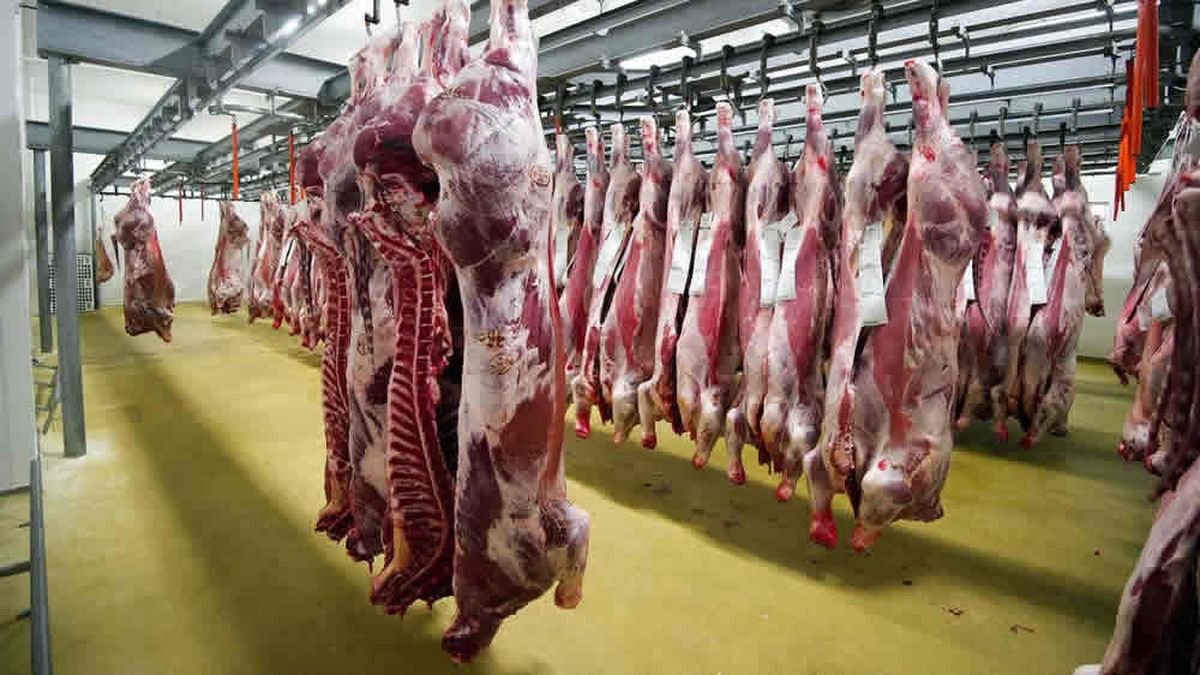Frenarán las exportaciones de carne de los frigoríficos que no cumplan con el programa Cortes Cuidados