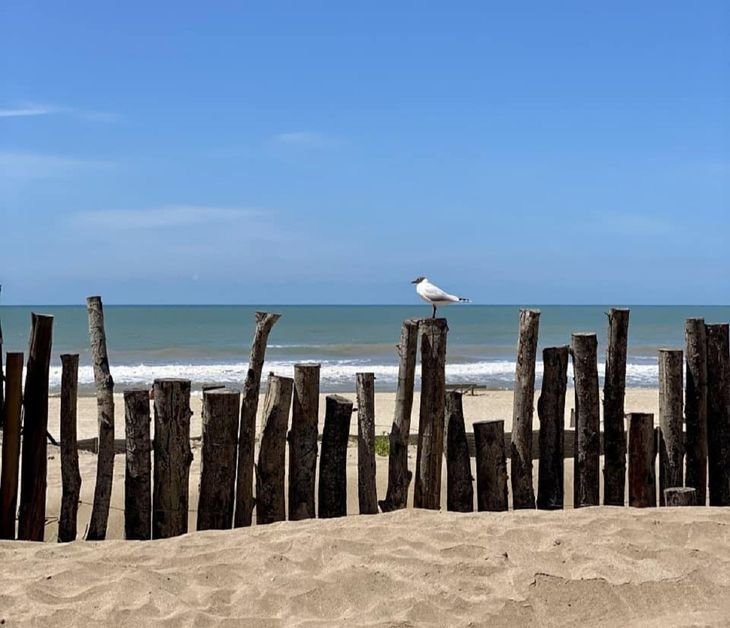 Verano 2024: crece la preocupación en la Costa Atlántica por el bajo nivel de reservas