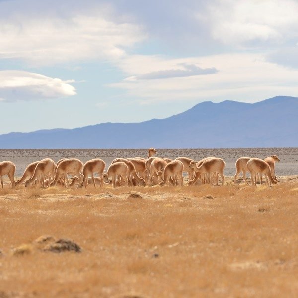 Tesoros para explorar: los parque nacionles menos visitados en la Argentina