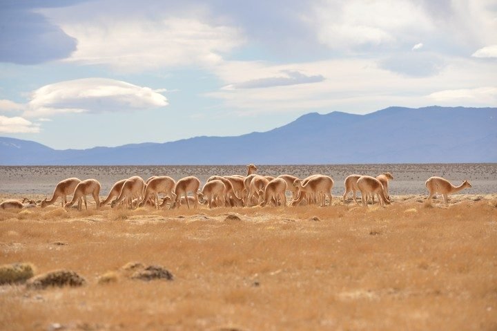 Tesoros para explorar: los parque nacionles menos visitados en la Argentina