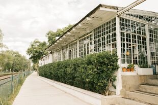 Recreo en el Bajo: La nueva ruta de panaderías y cafecitos que atrae con aromas y sabores en San Isidro