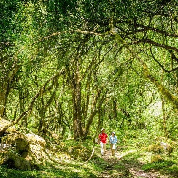 Tesoros para explorar: los parque nacionles menos visitados en la Argentina