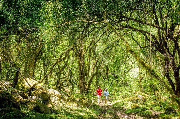Tesoros para explorar: los parque nacionles menos visitados en la Argentina