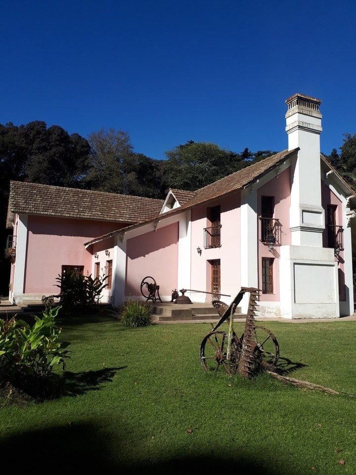 Termas, turismo rural y el Bosque Encantado, en una escapada a General Belgrano