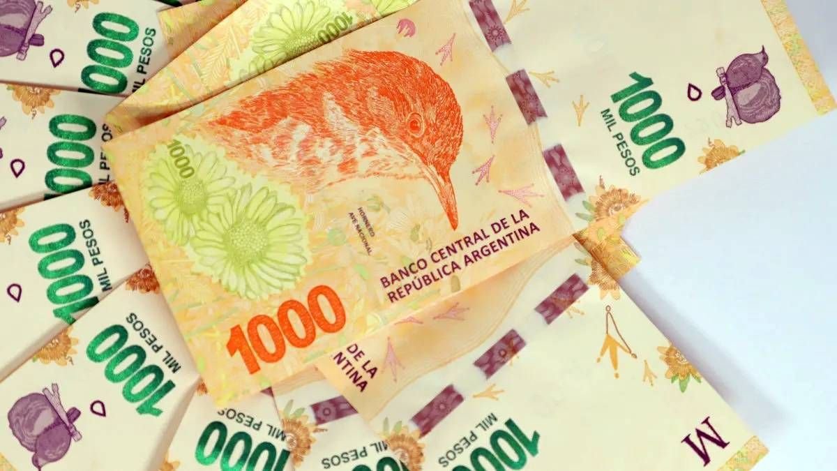 Nueva tasa de interés en el plazo fijo: cuánto gano por mes si deposito $ 225 mil