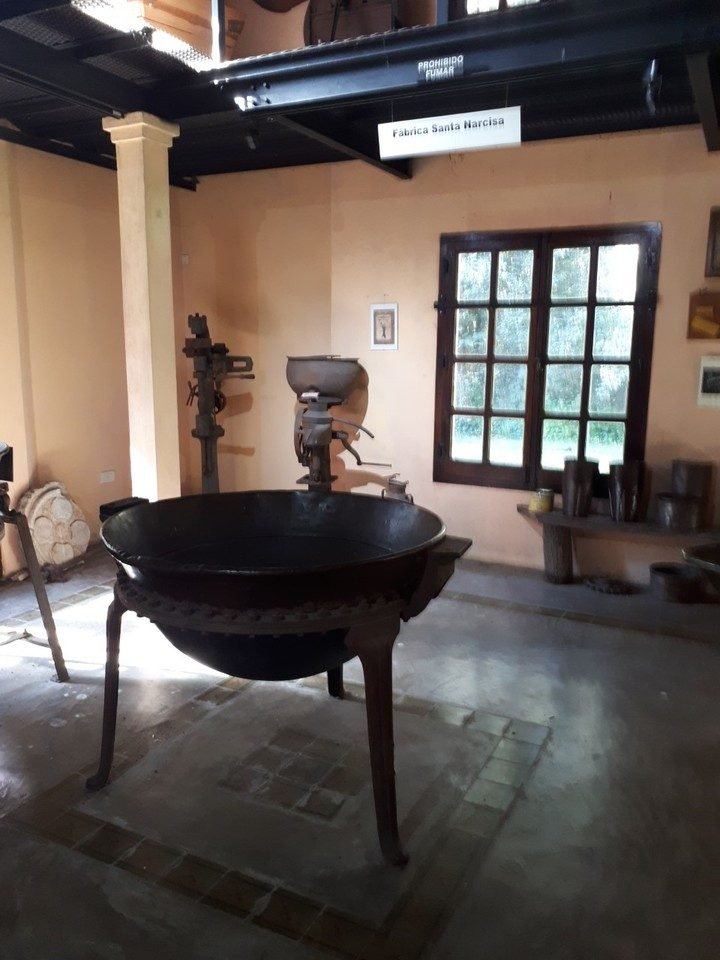 Termas, turismo rural y el Bosque Encantado, en una escapada a General Belgrano