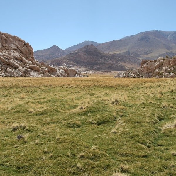 Tesoros para explorar: los parque nacionles menos visitados en la Argentina
